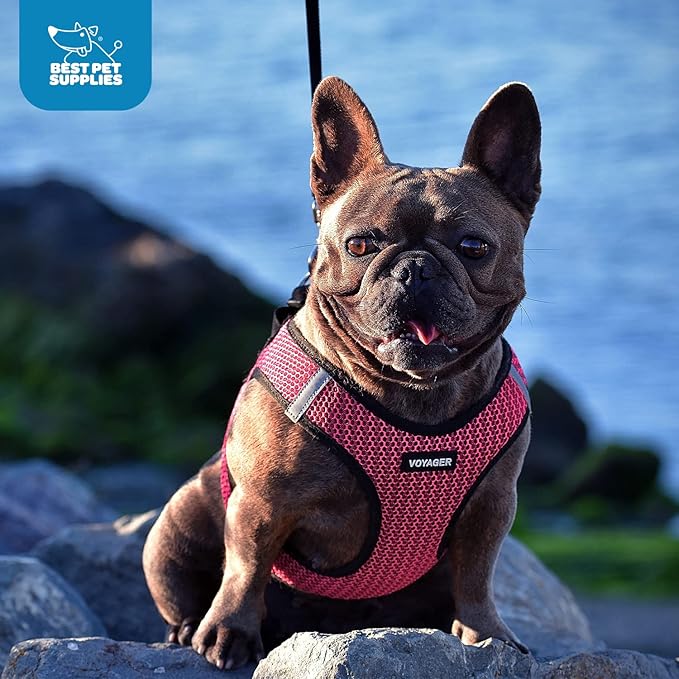Best Pet Supplies Voyager Step-in Air Harness - All Weather Mesh, Reflective, No Pull Harness for Dogs, Cats - Secure with Hook & Loop Fastener, Buckle, Double D-Rings - Tone, L