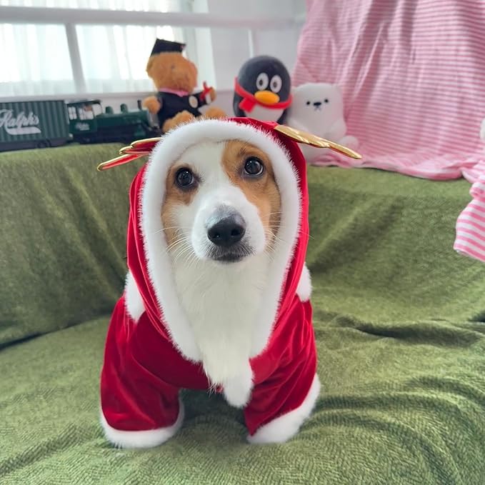 Christmas Dog Hoodie for Small Medium Large Dogs, Santa Claus Dogs Hoodie Christmas Cosplay Clothes Reindeer Dog Costume Outfits Pullover M