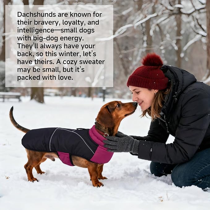 DORA BRIDAL Dachshund Coat, Fleece Lined Dog Winter Coat, Warm Dog Coats with Reflective Strips, Adjustable Waterproof Pet Jacket Clothes, XL