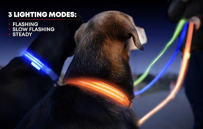 Illumiseen LED Dog Collar USB Rechargeable - Bright & High Visibility Lighted Glow Collar for Pet Night Walking - Weatherproof, in 6 Colors & 6 Sizes (Pink XX-Small)