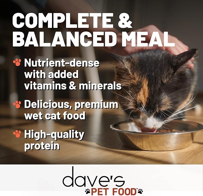 Dave's Pet Food Grain Free Wet Cat Food (Shredded Salmon in Gravy), Made in Canada Naturally Healthy Canned Cat Food, Added Vitamins & Minerals, Wheat, GMO & Gluten-Free, 5.5 oz (24 Pack)