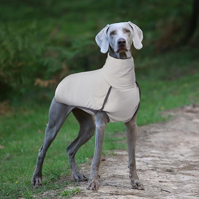 ROZKITCH Dog Winter Coat Soft Pullover Pajamas, Pet Windproof Warm Cold Weather Jacket Vest Cozy Jumpsuit Apparel Outfit Clothes for Walking Sleep Grey L