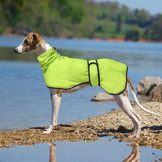 Dog Raincoat with Reflective Bar, Rain/Water Resistant, Adjustable Vest - Dog Raincoats for Greyhounds, Lurchers and Whippets - Light Green - M