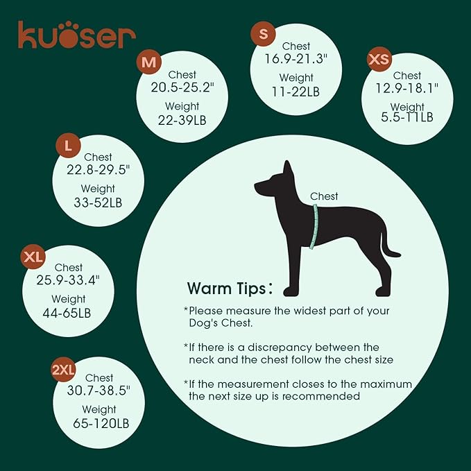 Kuoser Small Dog Life Jacket High Flotation, Reflective Puppy Water Vest for Swimming Boating, Adjustable Doggie Life Preserver Rescue Handle for Summer, Pink S
