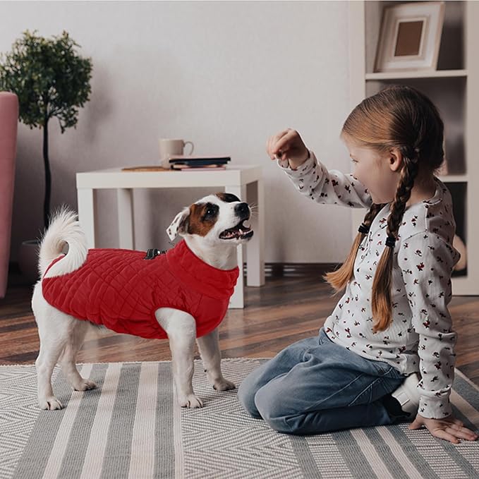Kuoser Small Dog Jacket | Fleece-Lined Cold Weather Gear for Yorkies Chihuahua | Reflective Edges Guard Mini Breeds on Night Walks, Quick-Dry Fabric, Red S