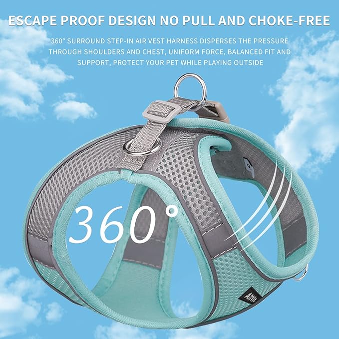 AIITLE Comfortable Dog Harness and Leash Set for Walking - Summer Step in Vest Harness,Reflective Bands, Adjustable No Pull Puppy Essentials, for Small Dogs and House Cats Turquoise XS