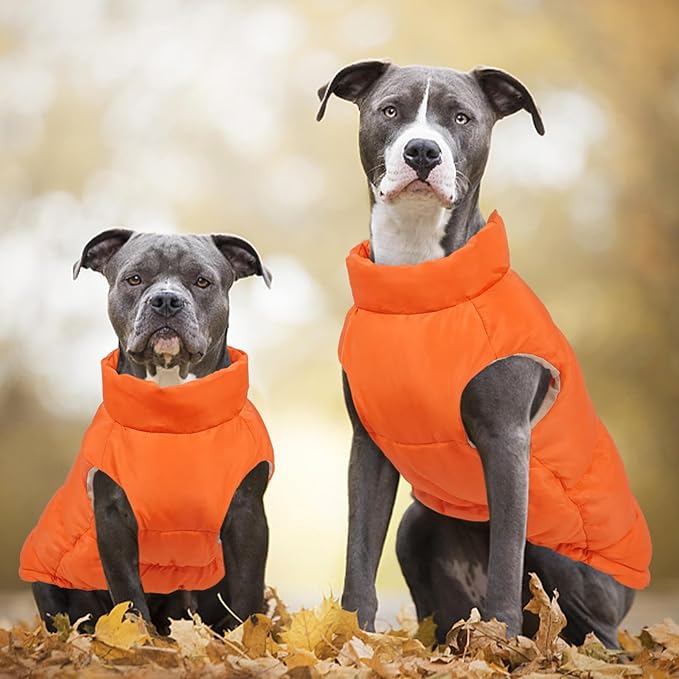 Kuoser Dog Coat Puffer Vest, Warm Dog Jacket Windproof Dogs Cold Weather Coats Pet Snowsuit Padded Vests, Lightweight Puppy Winter Clothes for Small Dogs, Button Design, Easy On/Off, Orange S