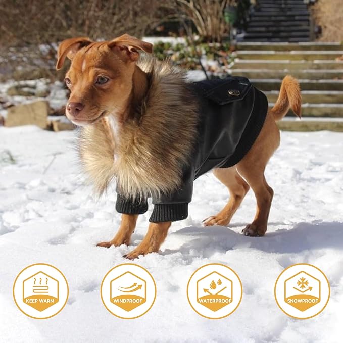 PETLESO Dog Coat for Small Dogs, Dog Leather Jacket Waterproof Windproof, Double Layer Warm Dog Winter Coat with Plush Lined, Black S