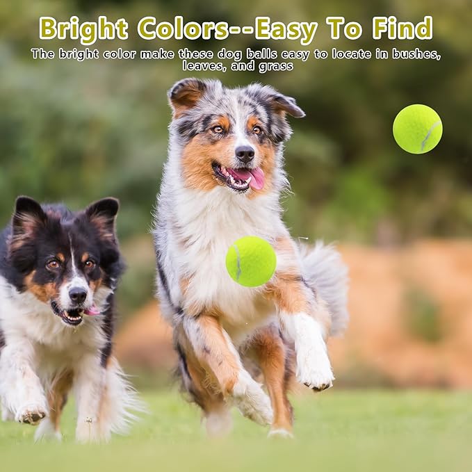 Magicorange 20 Pack Small Tennis Balls, 2 inch Squeaky Tennis Ball for Dogs,Colorful Easy Catching Squeaky Dog Balls with Mesh Bag for Easy Transport (Multicolor)