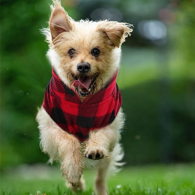 KAMA BRIDAL Spring Autumn Winter Coat Pullover Fleece Vest for Cats Small and Medium Dogs Thin Sweater Red & Black Plaid (Red, XXXS)