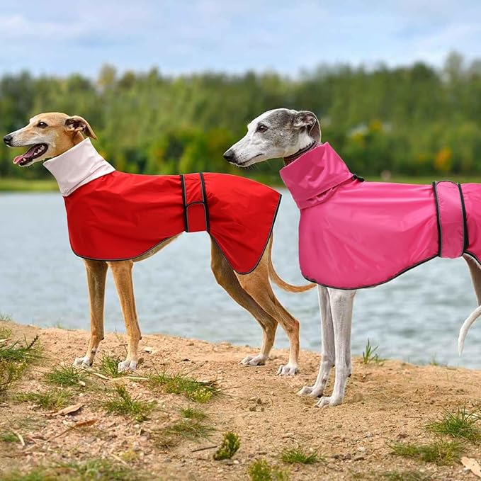 Dog Raincoat with Reflective Bar, Rain/Water Resistant, Adjustable Vest - Dog Raincoats for Greyhounds, Lurchers and Whippets - Red - XL