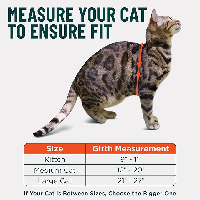 Houdini™ Escape Proof Cat Harness and Leash Set by OutdoorBengal – Black, Medium Cat Harness for Walking
