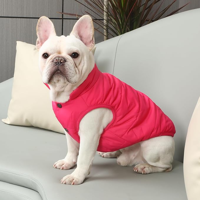 2 Layers Fleece Lined Warm Dog Jacket for Winter Cold Weather,Soft Windproof Medium Dog Coat,Pink L