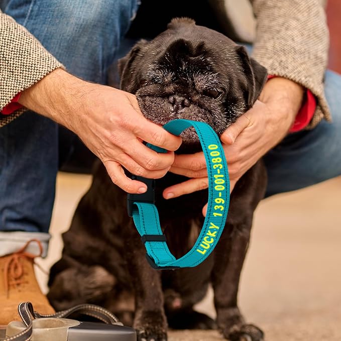 DIY Personalized Embroidered Dog Collar - Custom Hand-Stitched Name & Number, Reflective Adjustable Pet Collar for Small/Medium/Large Dogs & Cats, Durable Nylon with Steel D-Ring (Gray, Large)