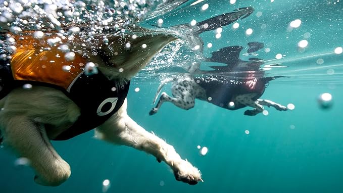 Stunt Puppy Float Doggy Life Jacket, Ergonomic Dog Life Vest for Swimming, Patented Design for Secure Fit, Medium, Mango
