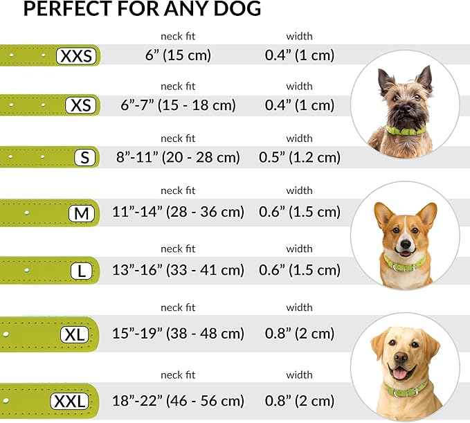 CollarDirect Rolled Leather Dog Collar, Soft Padded Round Puppy Collar, Handmade Genuine Leather Collar Dog Small Large Cat Collars 13 Colors (15-19 Inch, Lime Green Smooth)