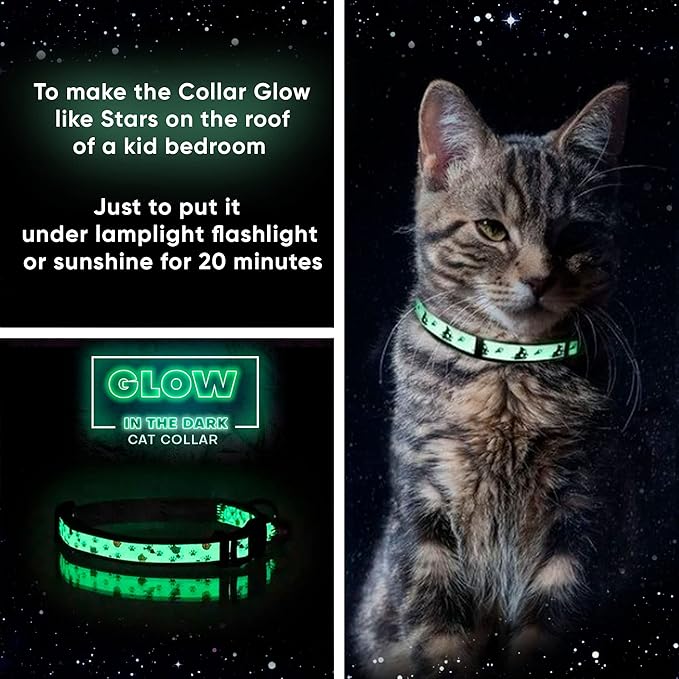 Pawtitas Glow in The Dark Cat Collar Set of 2 with Safety Buckle and Removable Bell Cat Collar Kitten Collar Pink Cat Collar + Orange Cat Collar