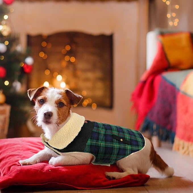 Winter Coat for Small and Medium Dogs, Puppy Plaid Jacket, Cotton Coat for Cold Weather, Windproof Warm Dog Garments, Pet Thickened Outfits Indoor Outdoor, Green M
