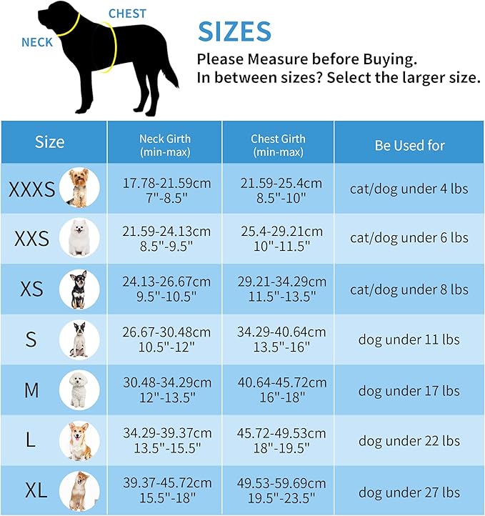 AIITLE Dog Harness, Summer No-Pull Cat Harness with a Leash, Adjustable Reflective Dog Vest, Cat Harness Escape Proof, Outdoor Walking, Camping for Extra Small Dogs and House Cats Pure Purple XXXS