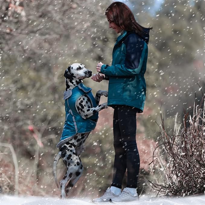 VIVAGLORY Frostfit Dog Coat, Dog Jacket for Winter & Cold Weather, Warm Fluffy Fleece Lined Water Resistant Reflective for Puppy, Coat with Velcro Fastening & Leash Hole, XXS, Turquoise