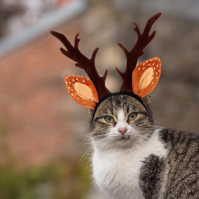 Christmas Halloween Pet Headband for Dog Cat Pet Elastic Band Adjustable,Costume Accessory for Cats and Kittens Comfortable Non-deformable for Holiday Season and Photography - Size M