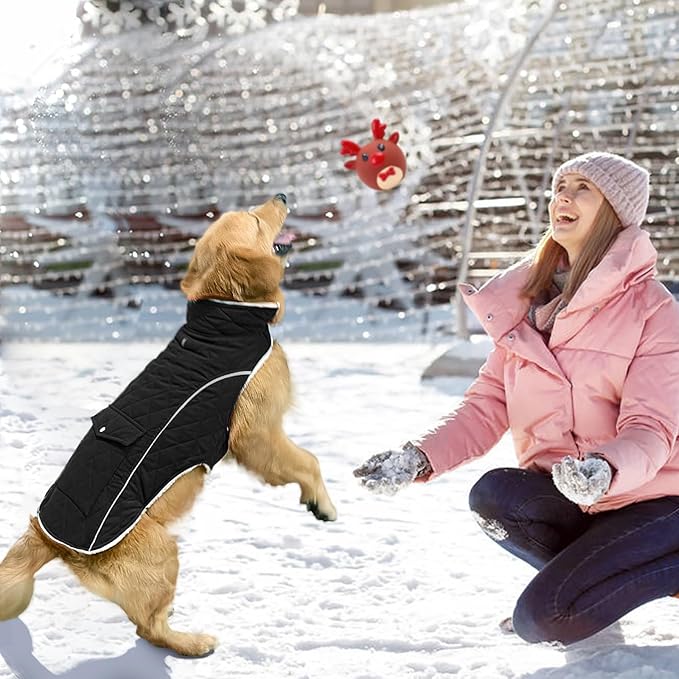 Malier Dog Winter Coat, Windproof Dog Cold Weather Coats with Real Pocket, Winter Extra Warm Pet Coat Fleece Jacket Reflective Clothes for Small Medium Large Dogs and Puppy (Black, Medium)