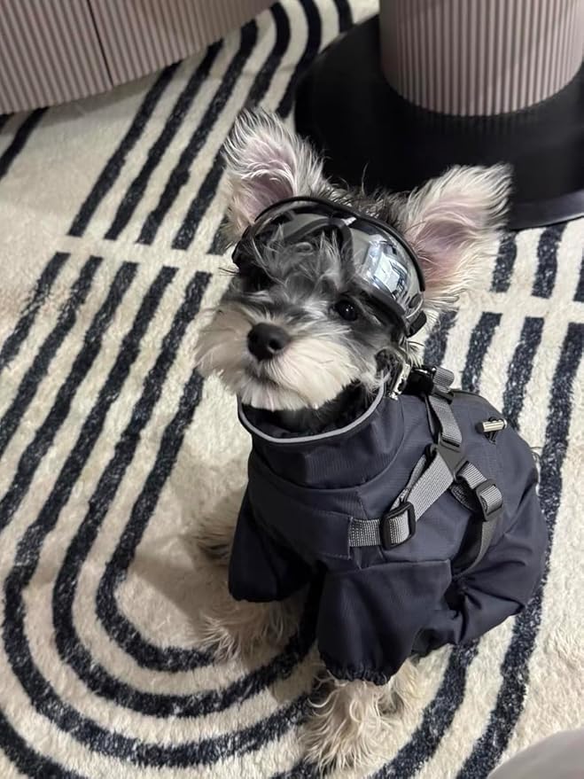 Mile High Life Waterproof Dog Raincoat, Full Coverage Small Dog Rain Coat with Harness, Adjustable 4 Legs Puppy Rain Jacket with Reflective Strip and Elastic Cuffs (Gray, L Back Length 16.1")