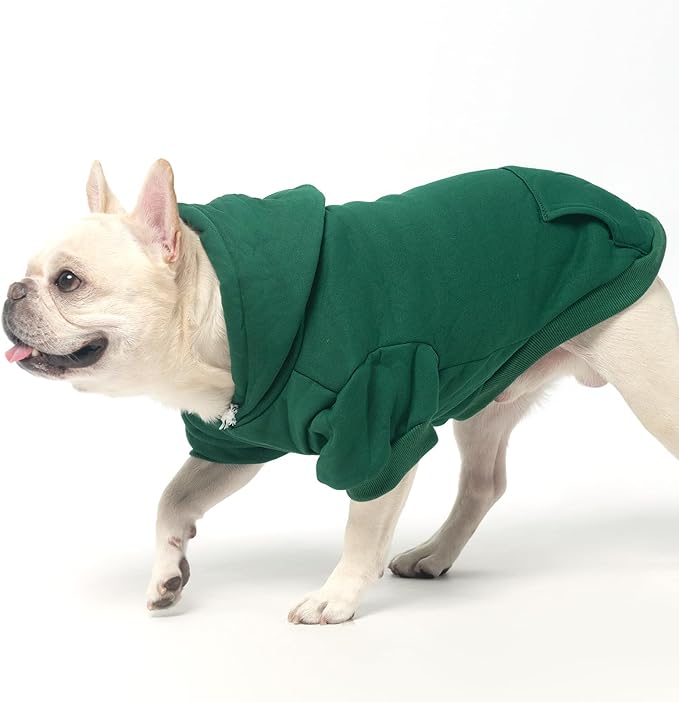 KOOLTAIL Basic Dog Hoodie - Soft & Warm Pet Hoodie Sweater with Leash Hole and Pocket, Dog Winter Coat, Cold Weather Clothes Sweatshirt for Small Medium Large Dogs Puppy Cat Boys Girls Green XL/XXL