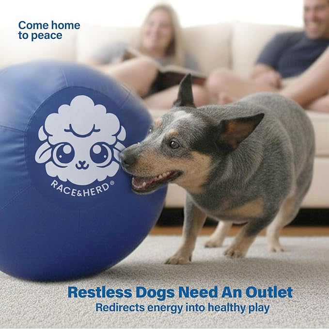 Race&Herd 30" Original XXL Herding Ball for Dogs - Giant Herding Dog Ball Australian Shepherds, Herding Toys, Dog Training Toy for Large Breeds, Dog Toy for Outdoor Play (for Large Dogs/Horses, Blue)