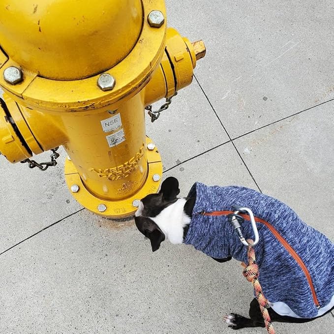 Gooby Zip Up Fleece Dog Sweater - Gray Wash, Medium - Warm Pullover Fleece Step-in Dog Jacket with Dual D Ring Leash - Winter Small Dog Sweater - Dog Clothes for Small Dogs Boy and Medium Dogs