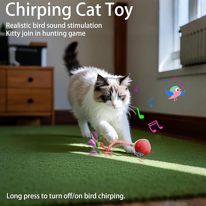 Tiny Fetch Dog Toy - Interactive Dog Toys, 360°Smart Automatic Rolling Electric Dogs Ball Toy with Birdsong, Automatic Obstacle Avoidance, Rechargeable, Boredom Relief for Dogs & Cats (Red*1+Blue*1)