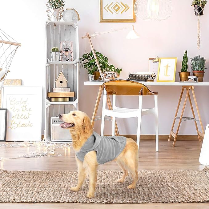 EXPAWLORER Dog Hoodie Fleece Sweater Vest, Hooded Dog Sweatshirt Fall Winter Pet Clothes with Leash Ring, Sleeveless Warm Cozy Puppy Clothing for Cat Small Medium Large Dogs Girl Boy, Grey XS