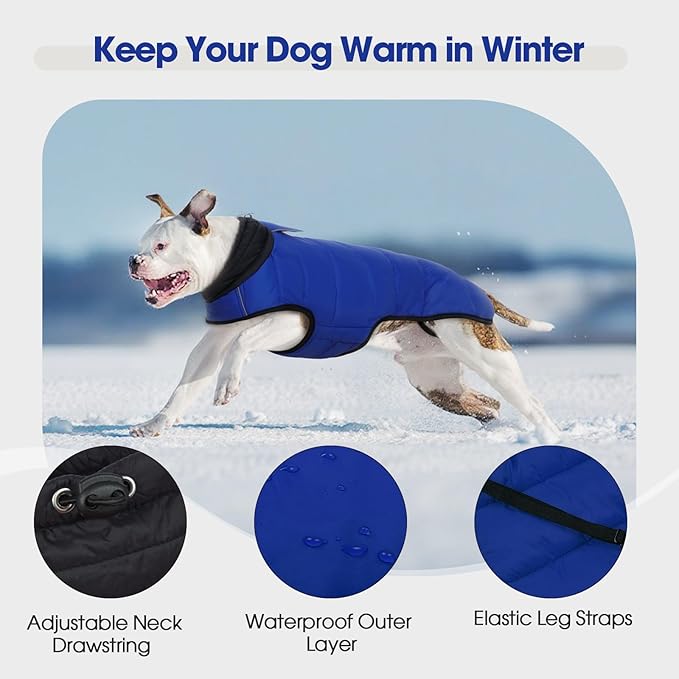 IDOMIK Dog Winter Coat, Warm Waterproof Dog Puffer Jacket with Harness Hole, Adjustable Reflective Snow Jacket Vest with Turtleneck, Pet Cold Weather Coats for Medium Dogs,Blue,M
