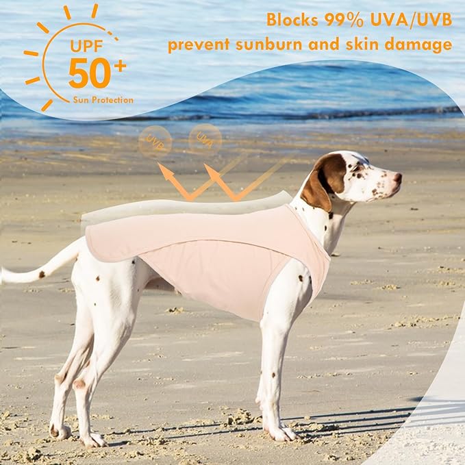 2 Pack Dog Shirt, Quick Dry Cooling Tshirts for Dogs Large, Breathable Durable UPF50+ Summer Clothes, Lightweight Prevent Overheating Vest, Purple+Pink, 3XL