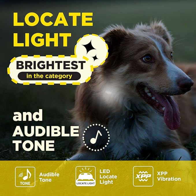 Dogtra 200iQ Remote Training E Collar – 100 Levels, Tone, Vibration, 1/2 Mile Range – Compact, Waterproof, One-Handed Control for Dogs 10 lbs+ – Lightweight Design for Daily Training – Sunset