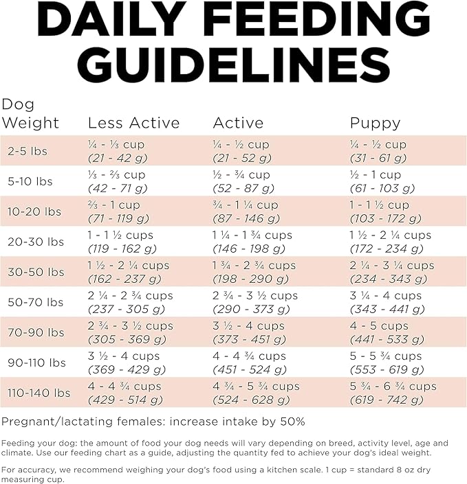 Go! Solutions Digestion + Gut Health, Dry Dog Food, Salmon Recipe with Ancient Grains, 22 lb Bag