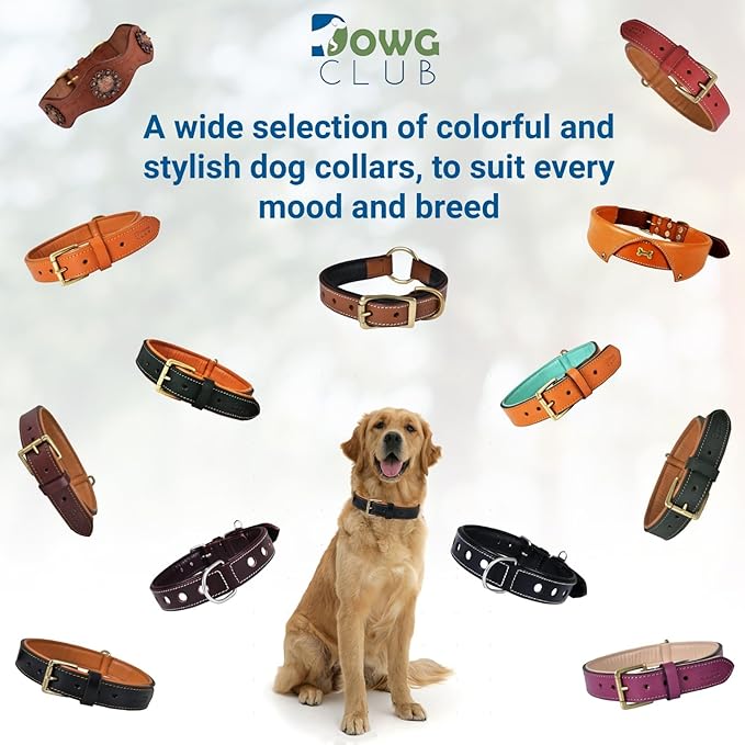 Genuine Leather Dog Collar | Full Grain, Heavy Duty, Comfortable, Padded, Strong | Best for Pups, Small, Medium, Large & XL Breeds (Large (Fit Neck Size 18.5"-22.5"), Red)
