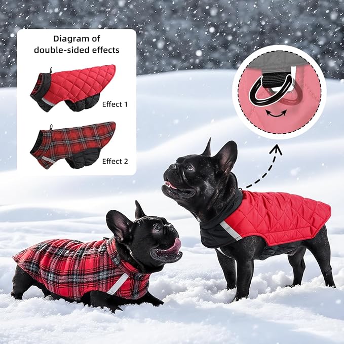 Reversible Waterproof Dog Coat - Adjustable Winter Jacket for Small to Large Breeds, Warm Cold Weather Apparel for Medium Dogs (Army Green & Orange, Small (Pack of 1))