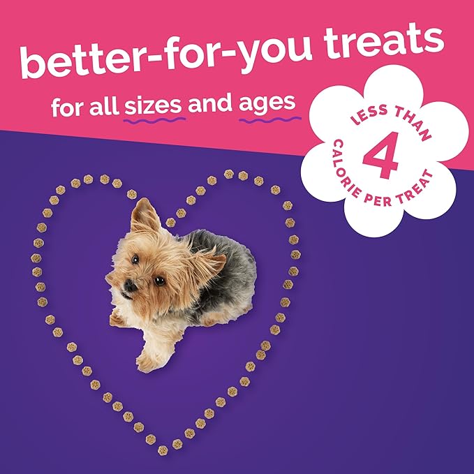 Fruitables Skinny Minis Dog Treats, Healthy Sweet Potato Treat for Dogs, Low Calorie & Delicious, Puppy Training, No Wheat, Corn or Soy, Made in the USA, Grilled Bison Flavor, 5oz