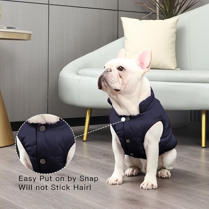 2 Layers Fleece Lined Warm Dog Jacket for Puppy Winter Cold Weather,Soft Windproof Small Dog Coat,Blue XS