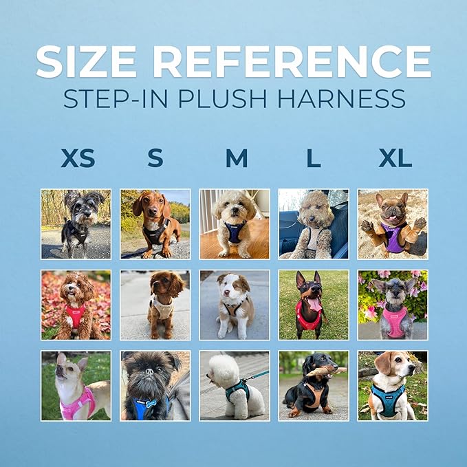 Best Pet Supplies - All Weather Mesh / Plush, Reflective, No Pull Harness for Small, Medium Dogs, Cats - Secure with Hook & Loop Fastener, Buckle, Double D-Rings - Red Rose Plush, XL