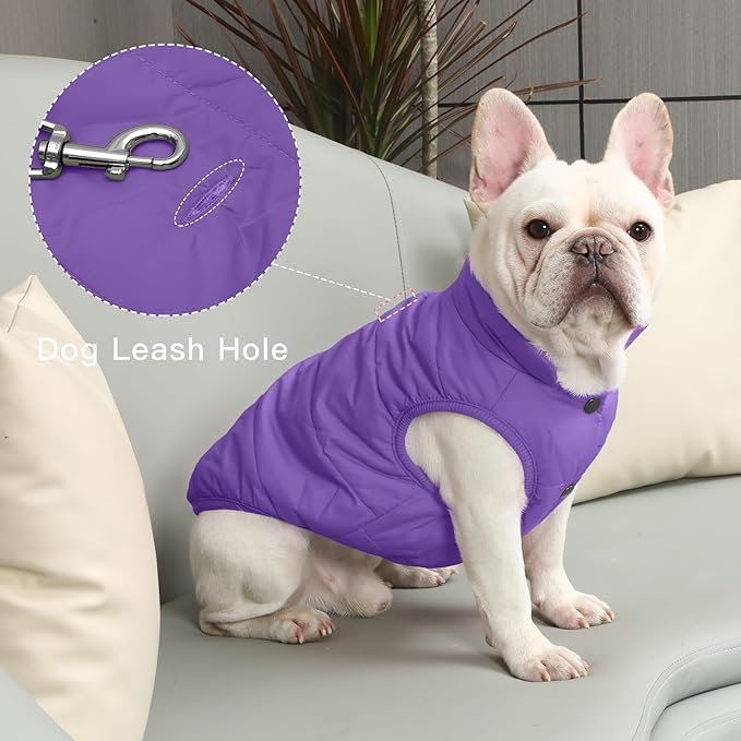 2 Layers Fleece Lined Warm Dog Jacket for Winter Cold Weather,Soft Windproof Medium Dog Coat,Purple L