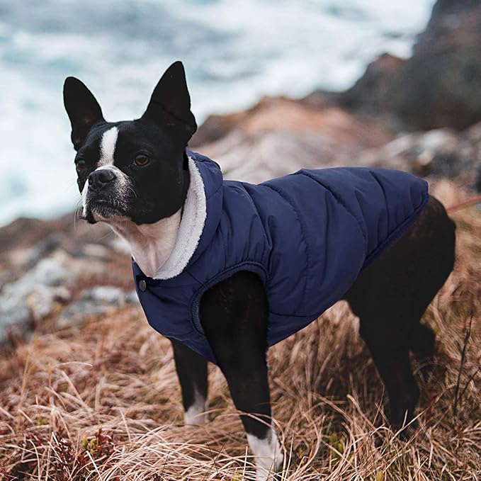 Fleece Hoodie, Windproof Waterproof Coat, Winter Warm Jacket, Cold Weather Pet Apparel Clothes Vest for Small Medium Large Dogs (3XL, Blue)