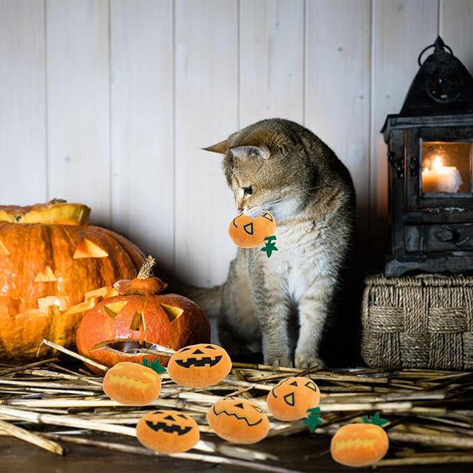 6pcs Halloween Pumpkin Catnip Toy，Hallowen Indoor Pumpkin Shaped Cat Toy Plush Interactive Chew Bite Toys for Cat Kitten Indoor Festive Holiday Cat Lover Gift