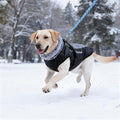 Dog Coat for Medium Large Dogs,Waterproof Reflective Dog Winter Jacket with Harness, Fleece Snowsuit,Warm Pet Winter Coat(Reflective blue-5XL)