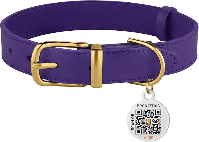 BRONZEDOG Leather Dog Collar with Metal Buckle Durable Basic Pet Collars for Small Medium Large Dogs (14-17 Inch (Pack of 1), Purple & Gold Buckle)