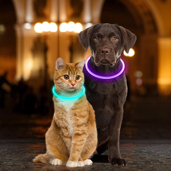 Light Up Dog Collars, USB Rechargeable Dlitk LED Dog Collar 1 Count, TPU Cuttable Size Glow Collar for Dogs, Dog Collar Light, Please Do Not Use Fast Charging (Purple)