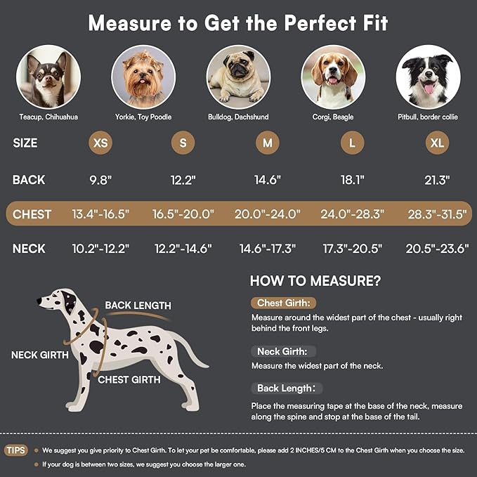 Queenmore Dog Winter Coat - Fleece Jacket, Waterproof Cold Weather Clothes, Thick Warm Cotton Padding, Easy On Storage Pockets (Grey, Large)