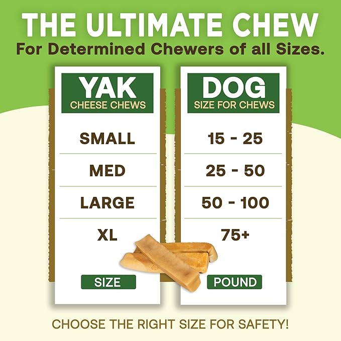 EcoKind Premium Gold Yak Cheese Himalayan Dog Chews, Healthy Dog Treats, Yak Chews for Small Dogs, All Natural, Long Lasting Dog Chew for Aggressive Chewers, High Protein Puppy Treat, Small - 4 Chews