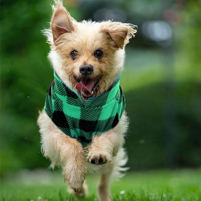 KAMA BRIDAL Spring Autumn Winter Coat Pullover Fleece Vest for Cats Small and Medium Dogs Thin Sweater Green & Black Plaid (Green, XS)